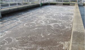 Bùn hoạt tính trong quá trình xử lý nước thải