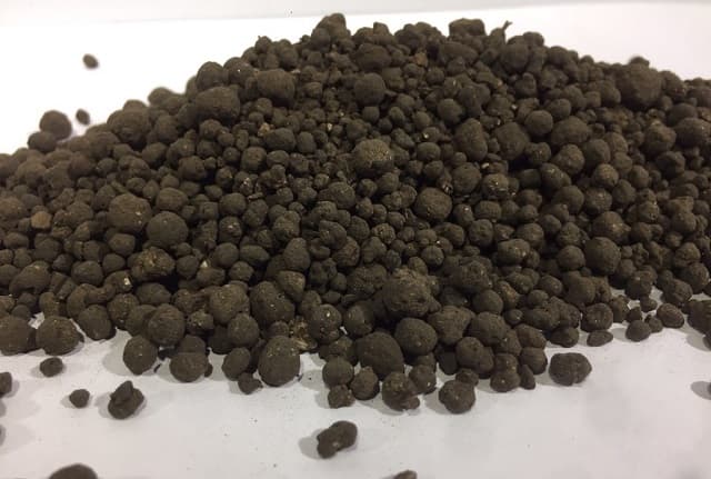 Cần lưu ý điều gì khi sử dụng phân dơi