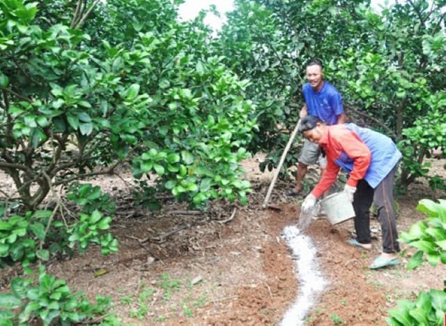 Bón thúc cần thực hiện như thế nào để đạt hiệu quả cao?