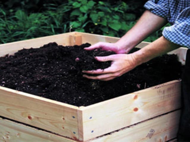 4. Cách sử dụng phân