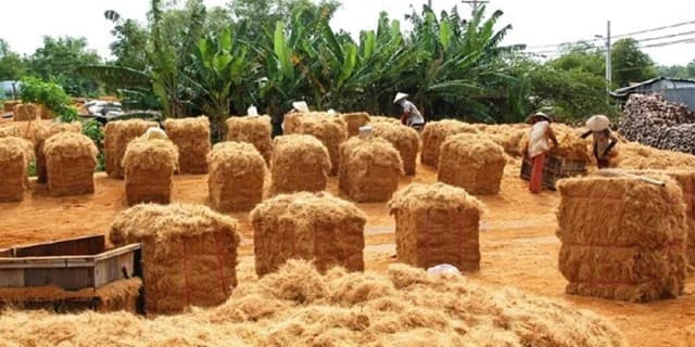 Ủ thông thường là phương pháp phổ biến.