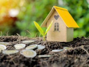 Sử dụng chế phẩm vi sinh EM và trichoderma định kỳ thường xuyên là cách cải tạo đất hiệu quả nhất hiện nay