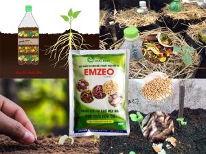 Cách ủ và sử dụng phân compost tại nhà hiệu quả