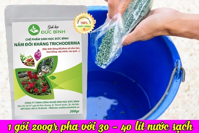 Một số cách sử dụng nấm đối kháng trichoderma phổ biến, hiệu quả