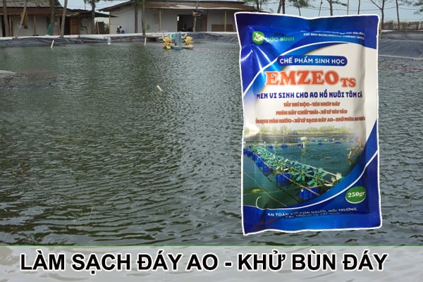 Lưu ý khi dùng vi sinh xử lý đáy ao
