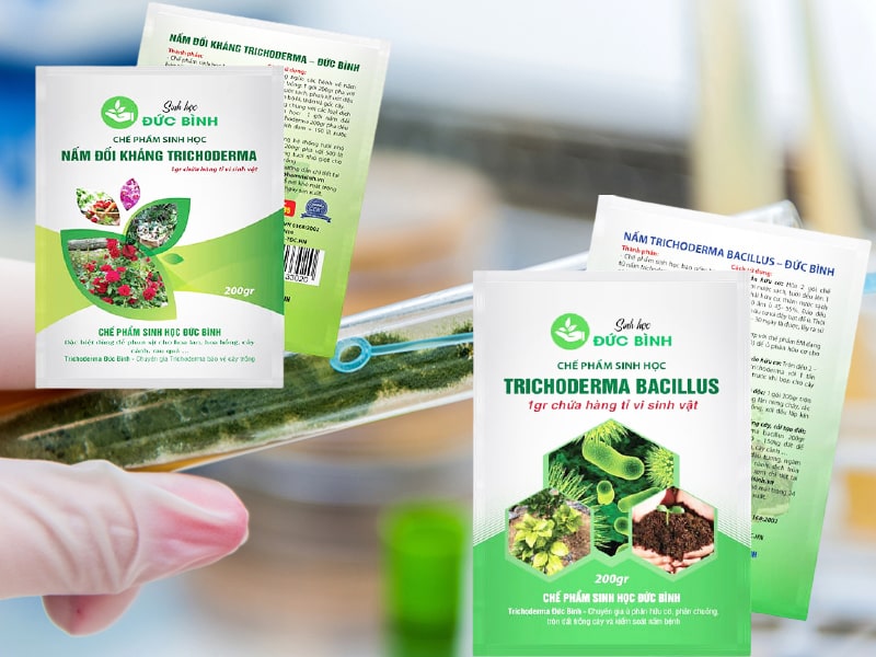 Chế phẩm vi sinh nấm đối kháng trichoderma Đức Bình chất lượng cao