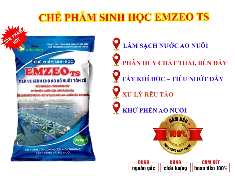 Tìm hiểu chế phẩm vi sinh xử lý đáy ao EMZEO TS