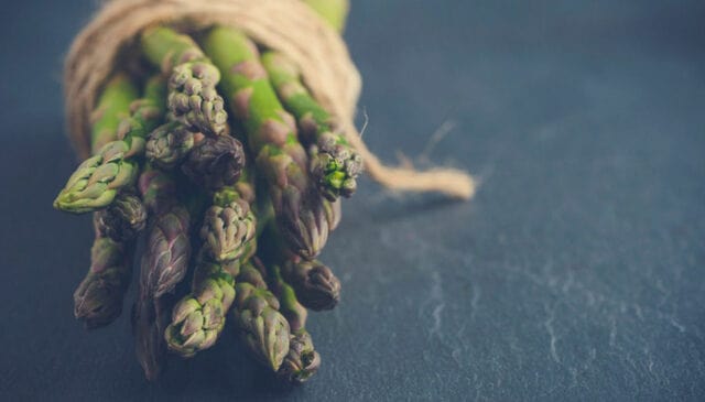 Không thu hoạch măng tây trong năm đầu tiên vì cây cần thời gian để phát triển bộ rễ của chúng