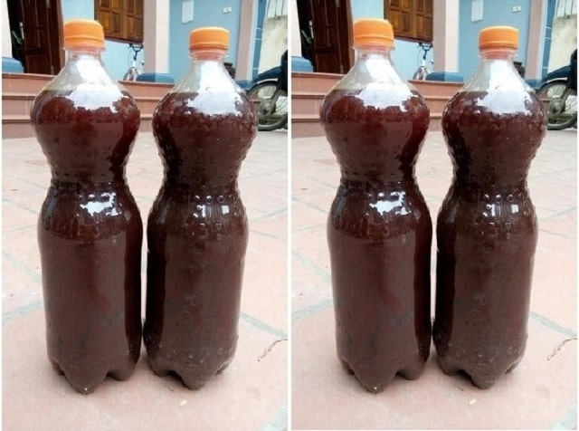 Lưu ý về thời gian tạo chế phẩm IMO