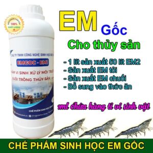 Bạn đã biết cách nuôi tôm bằng chế phẩm EM chưa?