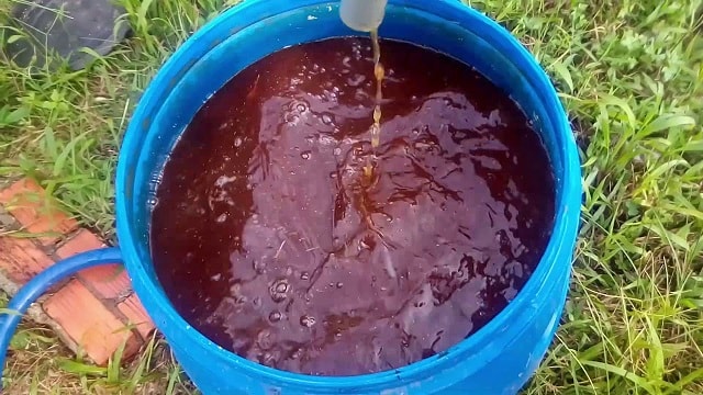 Tự tạo chế phẩm IMO từ các nguyên liệu bản địa