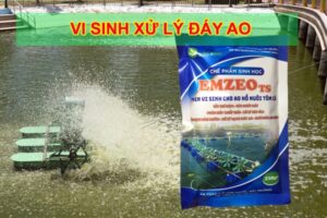 Tìm hiểu chế phẩm vi sinh xử lý đáy ao EMZEO TS