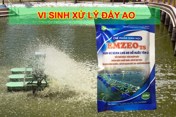 2. Loại vi sinh xử lý đáy ao tốt nhất hiện nay – EMZEO TS từ vi sinh Đức Bình