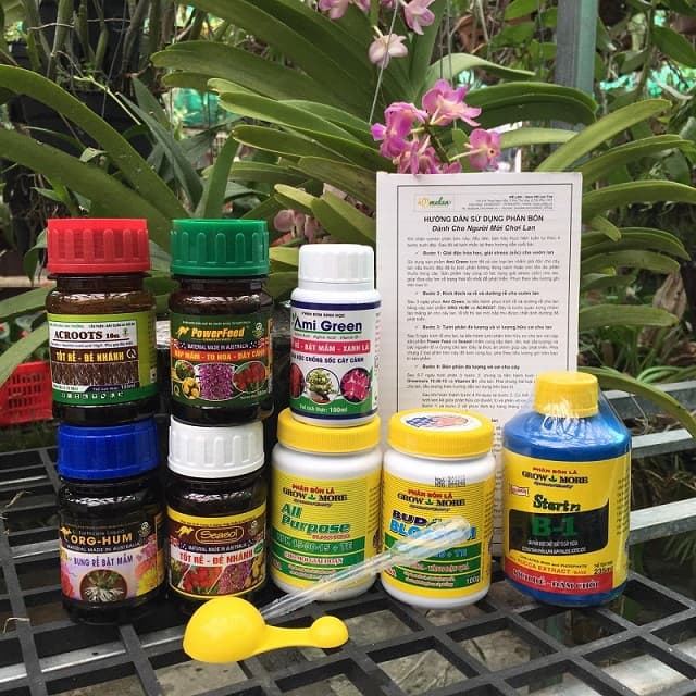 Phân bón cho lan và những nguyên lý chung