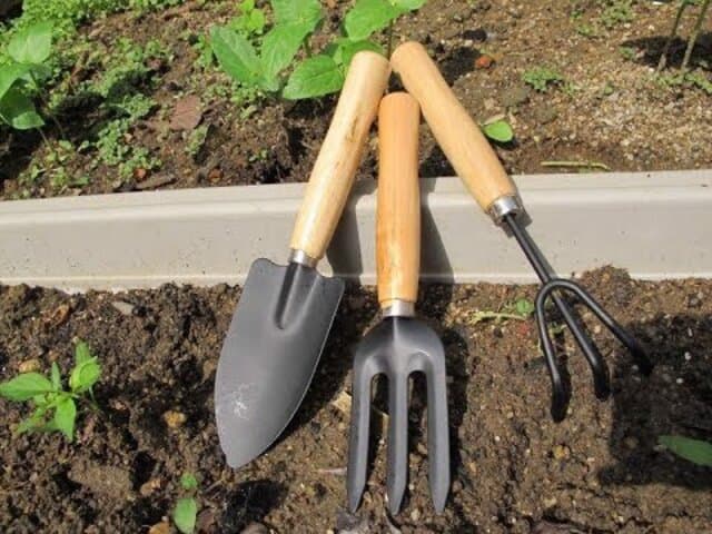 Xới đất nhằm hủy hoại trứng ốc sên ngăn chúng sinh trưởng phá hoại cây trồng