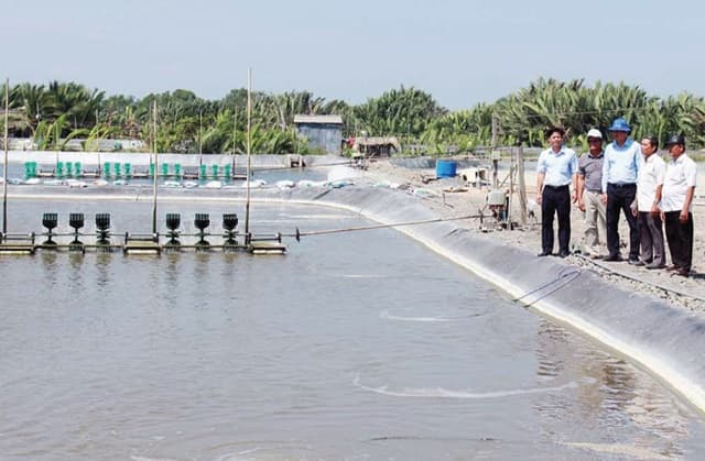 Xây dựng hồ nuôi cá thông thoáng