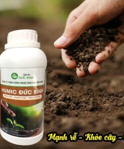 Humic Đức Bình giúp mạnh rễ, khỏe cây, màu mỡ đất ... còn được sử dụng để ủ đậu tương, dịch chuối, phân cá ... tạo ra phân đạm sinh học vô cùng hữu hiệu cho cây trồng