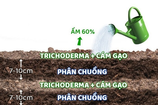 Hướng dẫn ủ phân chuồng hoai mục