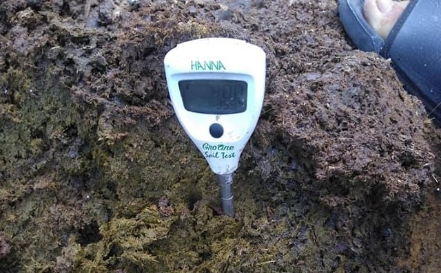 Những lưu ý khi ủ phân chuồng