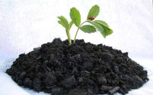 Định nghĩa phân hữu cơ vi sinh