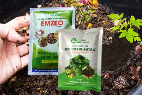 Quá trình sản xuất các loại phân bón làm bằng than bùn