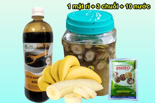 Cách làm GE chuối tưới cây đơn giản, dễ thực hiện