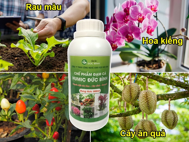 Cách sử dụng đạm cá cho từng loại cây trồng hiệu quả