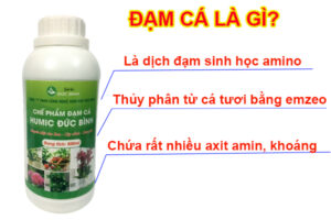 Phân đạm cá là gì?