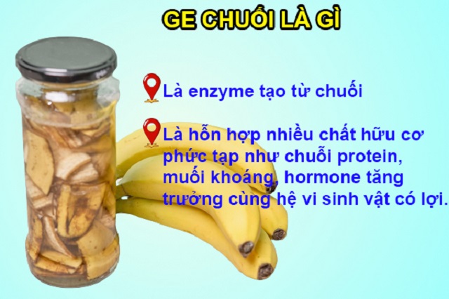 GE chuối là gì?