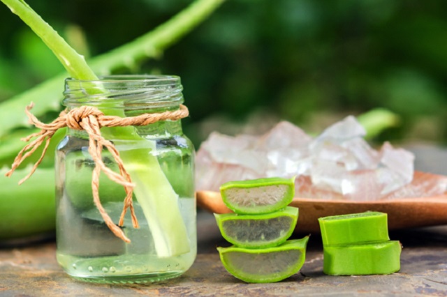 công dụng của ge nha đam