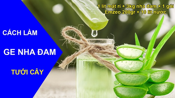 Cách làm GE nha đam tưới cây siêu đơn giản