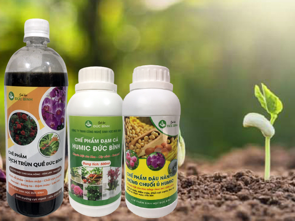 3 loại phân bón lá sinh học tốt nhất hiện nay