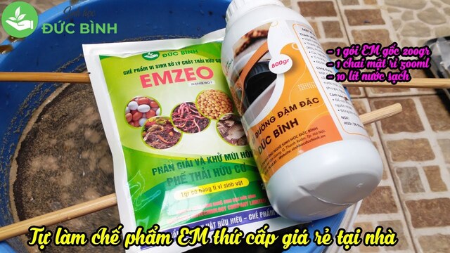 Cách sinh khối chế phẩm EM thứ cấp từ chế phẩm sinh học EM gốc dạng bột
