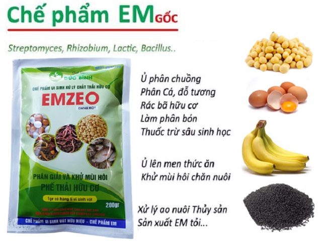 EM gốc dạng bột: Công dụng, cách sinh khối EM gốc thành EM thứ cấp