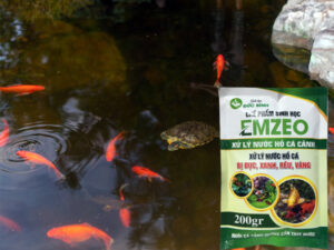 Công dụng của EMZEO cá cảnh Đức Bình