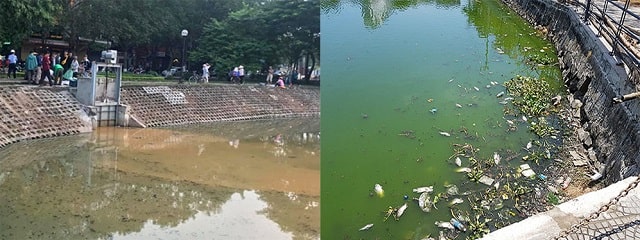 Môi trường thay đổi cũng khiến cho nguồn nước trong ao ô nhiễm