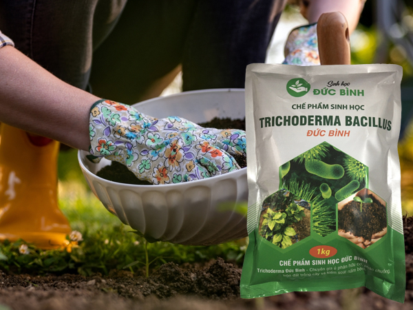 Phân vi sinh vật phân giải chất hữu cơ là gì?