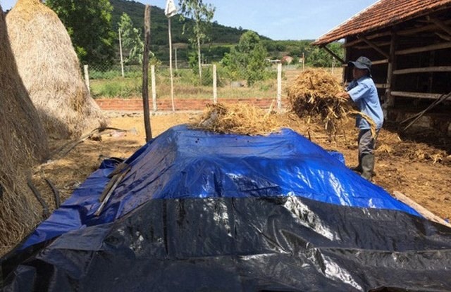Sử dụng bạt che phủ kín đáo