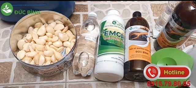 Cách ủ men tỏi cho vật nuôi bằng chế phẩm EM1