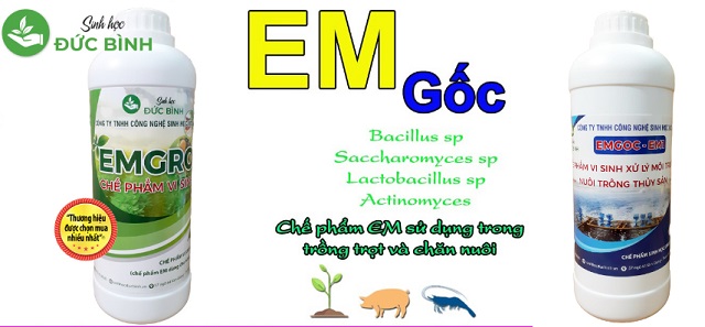 Chế phẩm EMGRO Đức Bình