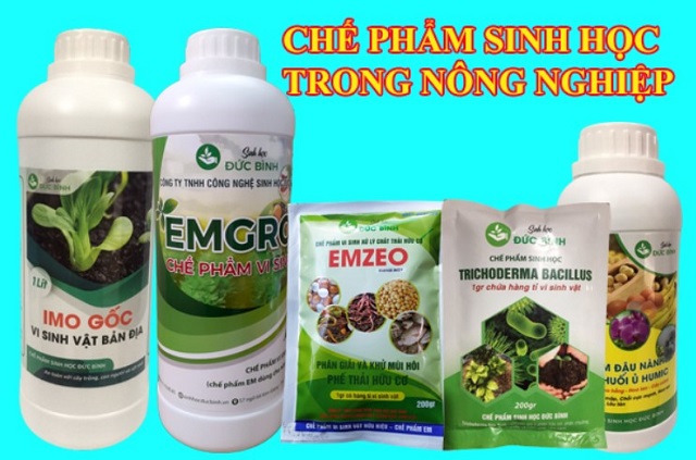 Mua chế phẩm sinh học nông nghiệp nên chọn thương hiệu nào?