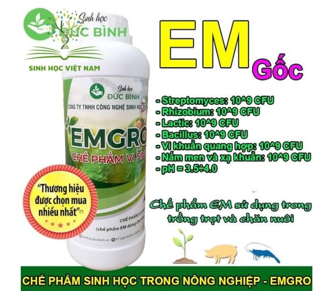 Ứng dụng của chế phẩm sinh học trong chăn nuôi