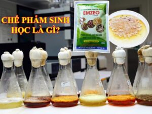 Chế phẩm sinh học là gì được nhiều bà con quan tâm