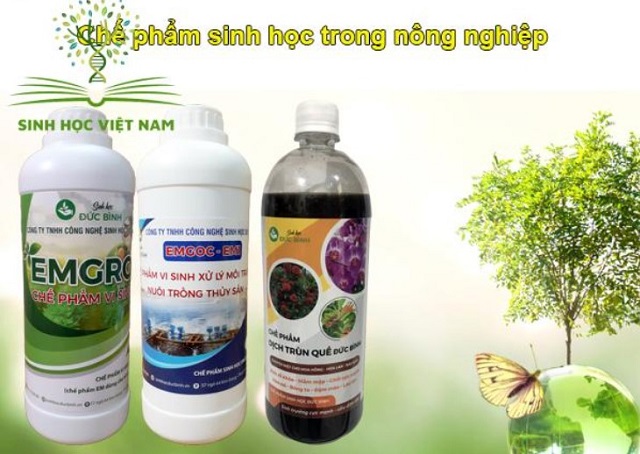 Chế phẩm sinh học trong nông nghiệp ngày càng được sử dụng phổ biến