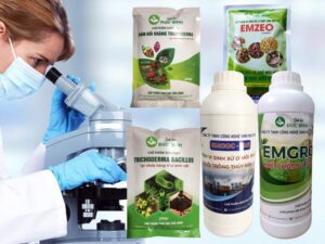Vai trò và ứng dụng của chế phẩm sinh học trong nông nghiệp