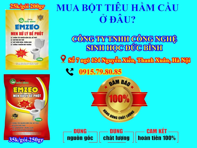 Bột tiêu hầm cầu là gì?