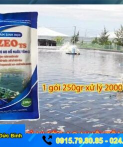 Cách sử dụng men vi sinh xử lý nước ao tôm EmzeoTS đơn giản, dễ thực hiện, hiệu quả cao