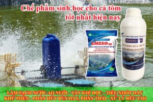 Tầm quan trọng của chế phẩm sinh học cho cá tôm