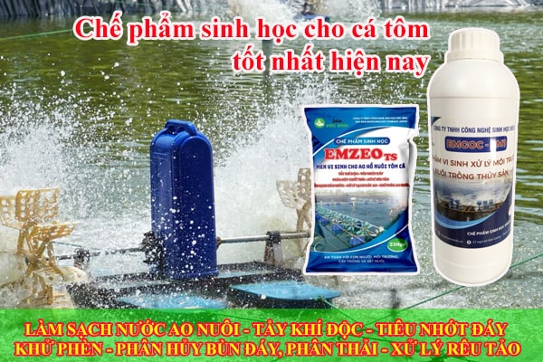 1. Các loại chế phẩm sinh học cho cá tôm có đặc điểm chung gì?