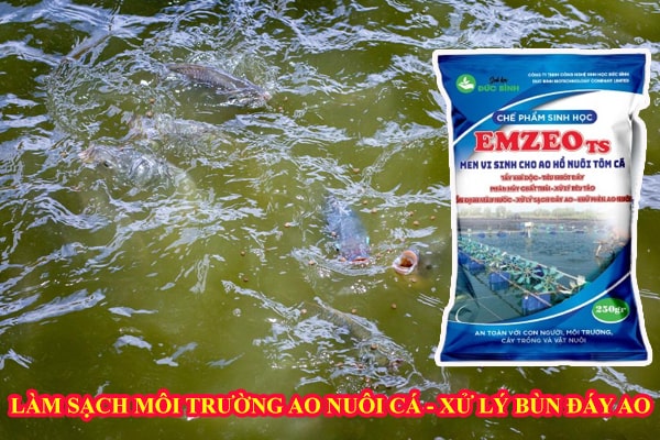 Tầm quan trọng của chế phẩm sinh học cho cá tôm